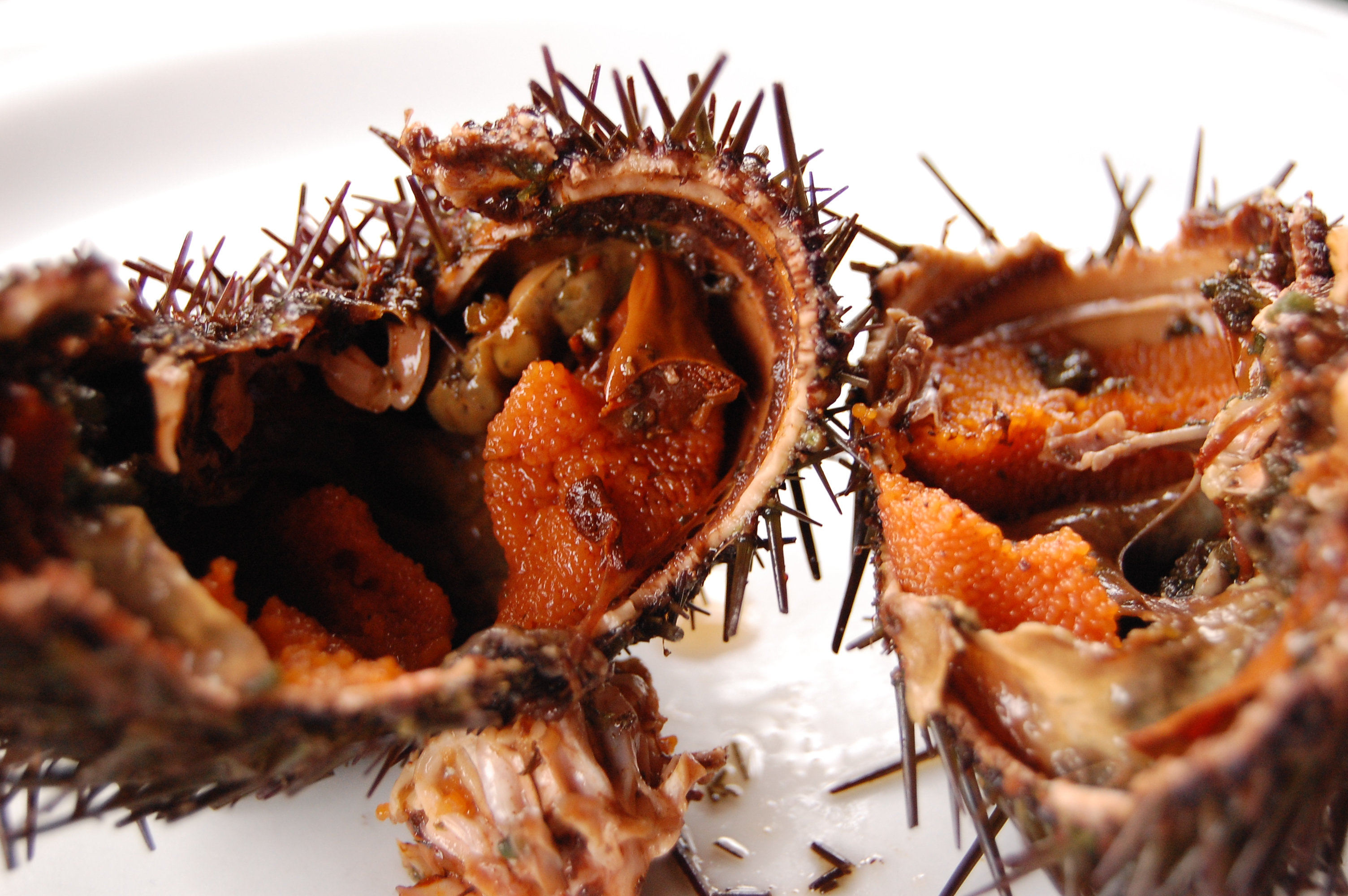 El mar como pilar de la cocina riosellana