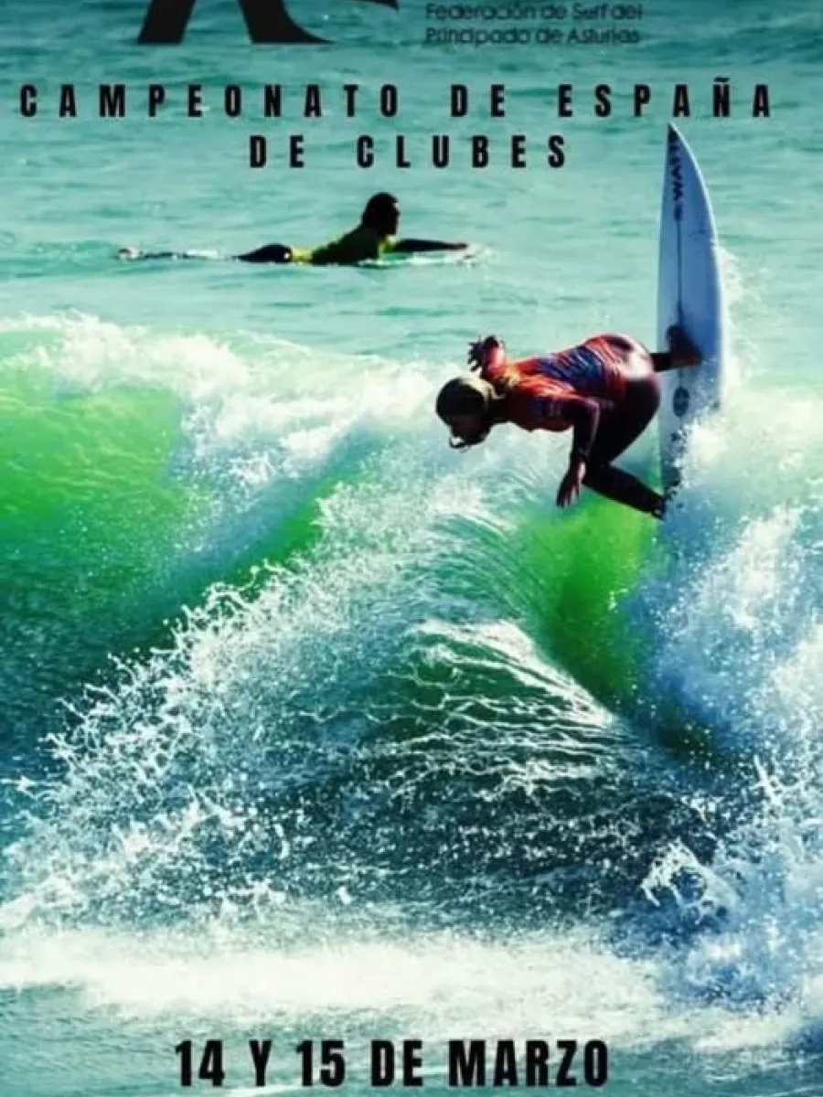 Afiche de Campeonato de surf