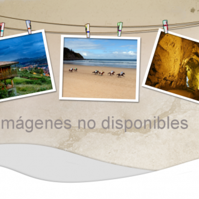 Sin imagen