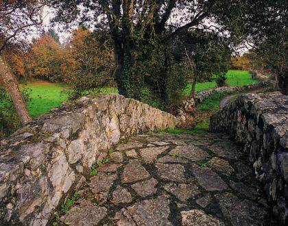 camino_de_santiago.jpg